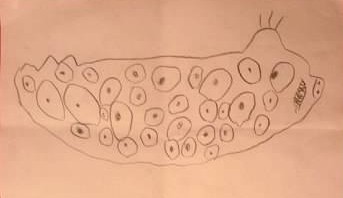 Arts Education Elevator Speech: Everything You See Here Was&nbsp;Imagined