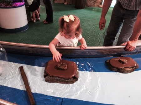 Visitor at the Peoria PlayHouse Children's Museum, during the museum's first week of operations.